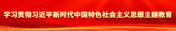 日女人网站一学习贯彻习近平新时代中国特色社会主义思想主题教育