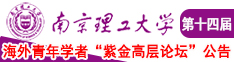 鸡巴操影院南京理工大学第十四届海外青年学者紫金论坛诚邀海内外英才！